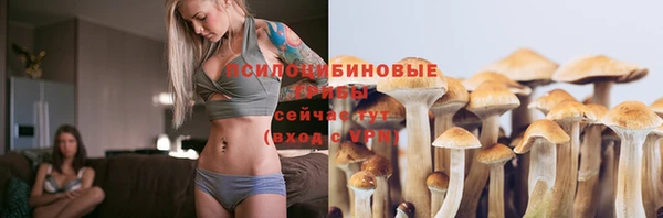 марки nbome Белокуриха